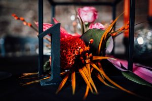 Close up of bring pink and orange flowers with a black metal frame surrounding it.